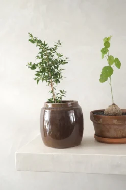 Berit, brun ø 12 cm