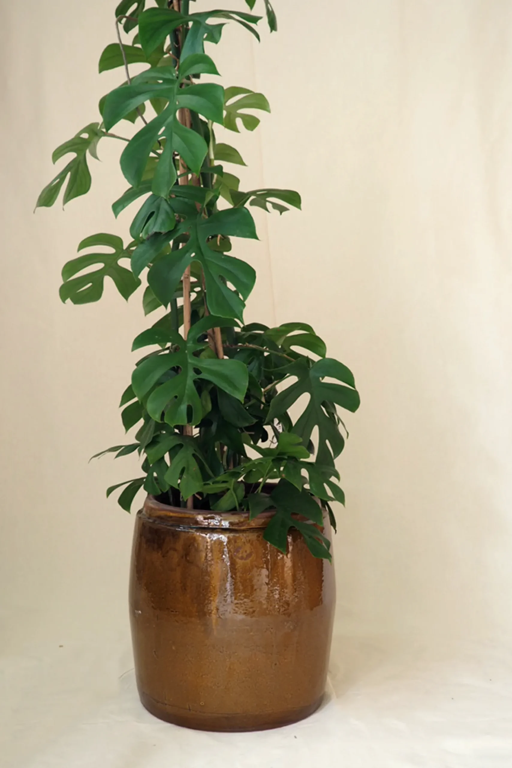 Berit krukken, ø 33, brun