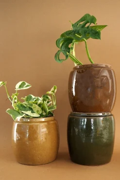 Berit, mustard ø12 cm