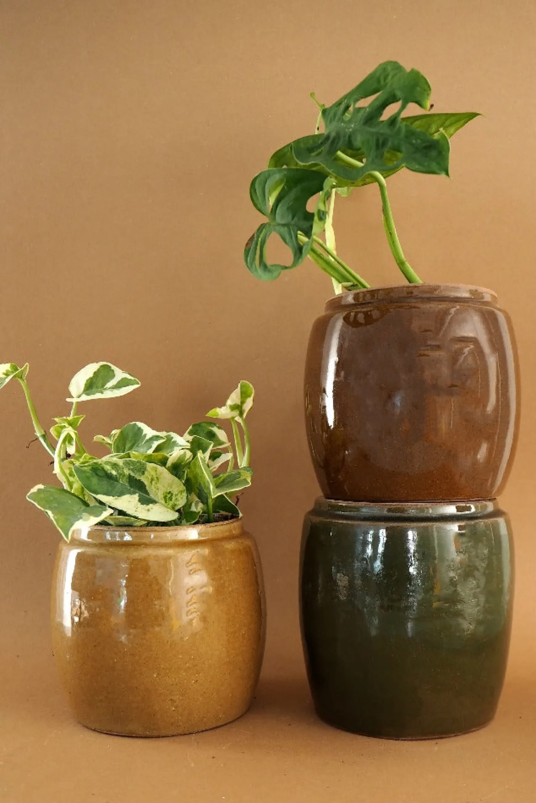 Berit, mustard ø12 cm