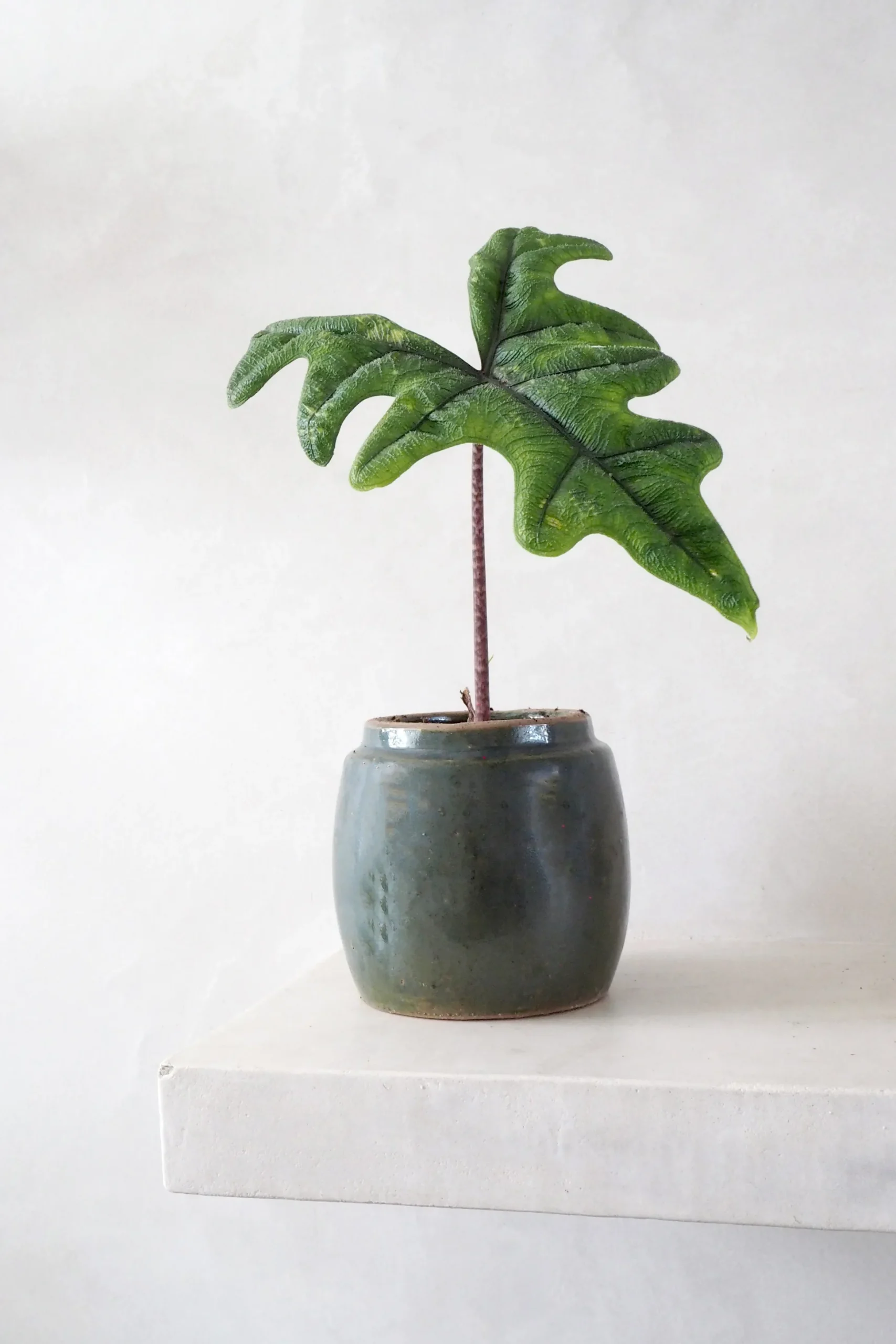 Berit, olivengrøn ø12 cm