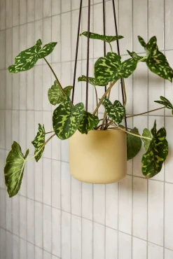 Bloom hængekrukke, sand ø21 cm