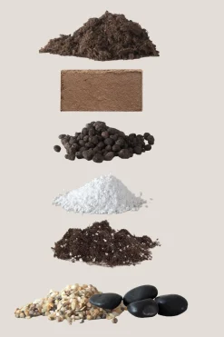 Bundle : Essential omplantning