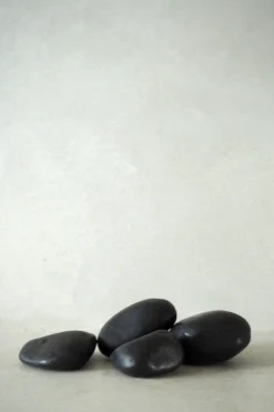 Bundle : Essential omplantning