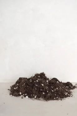 Bundle : Essential plantepleje