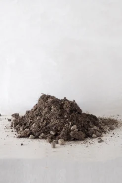 Bundle : Pro omplantning