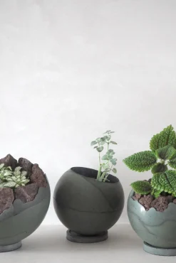 Dirty Roots - Tau Ceti