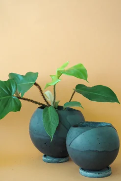 Dirty Roots - Tau Ceti