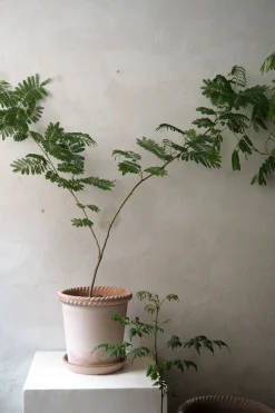 Emilia krukke, raw rosa