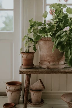 Emilia krukke, raw rosa