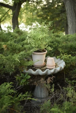 Emilia krukke, raw rosa