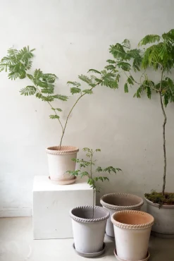 Emilia krukke, raw rosa