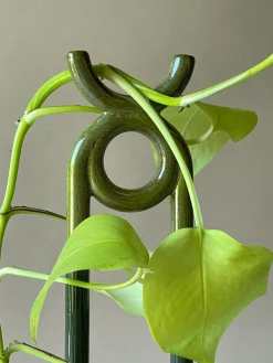 FOLK oni plantestøtte, grøn