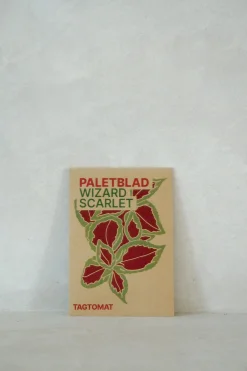 Frø - Paletblad, Wizard Scarlet