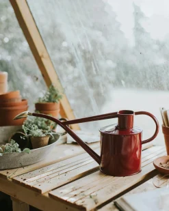 HAWS Vandkande, burgundy, 1 L (special edition)