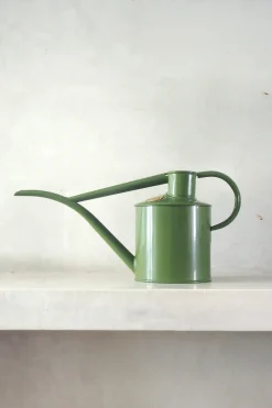 HAWS Vandkande, fern green, 1 L