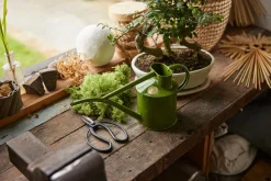 HAWS Vandkande, fern green, 1 L