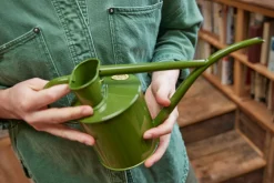 HAWS Vandkande, fern green, 1 L