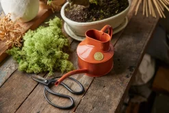 HAWS Vandkande, terracotta orange, 0,5 L