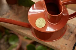 HAWS Vandkande, terracotta orange, 0,5 L