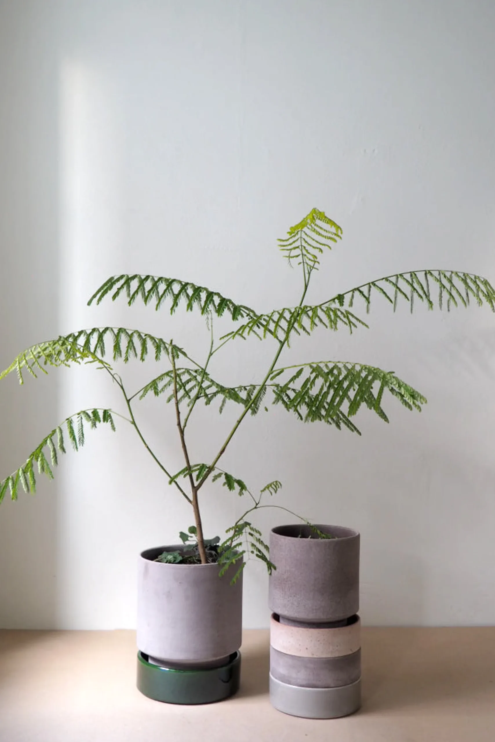 Hoff krukke, raw grey + grøn underskål