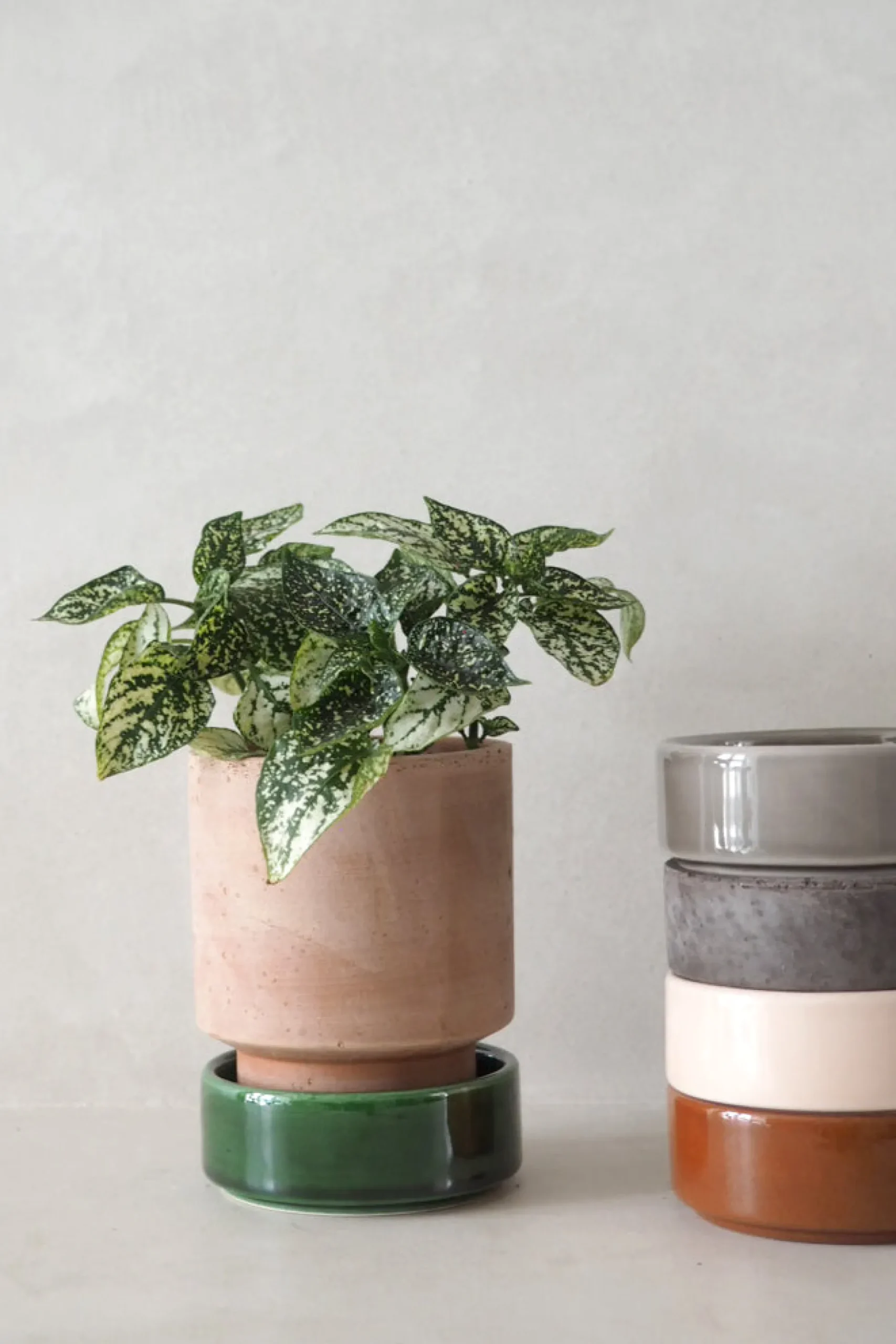 Hoff krukke, raw rosa