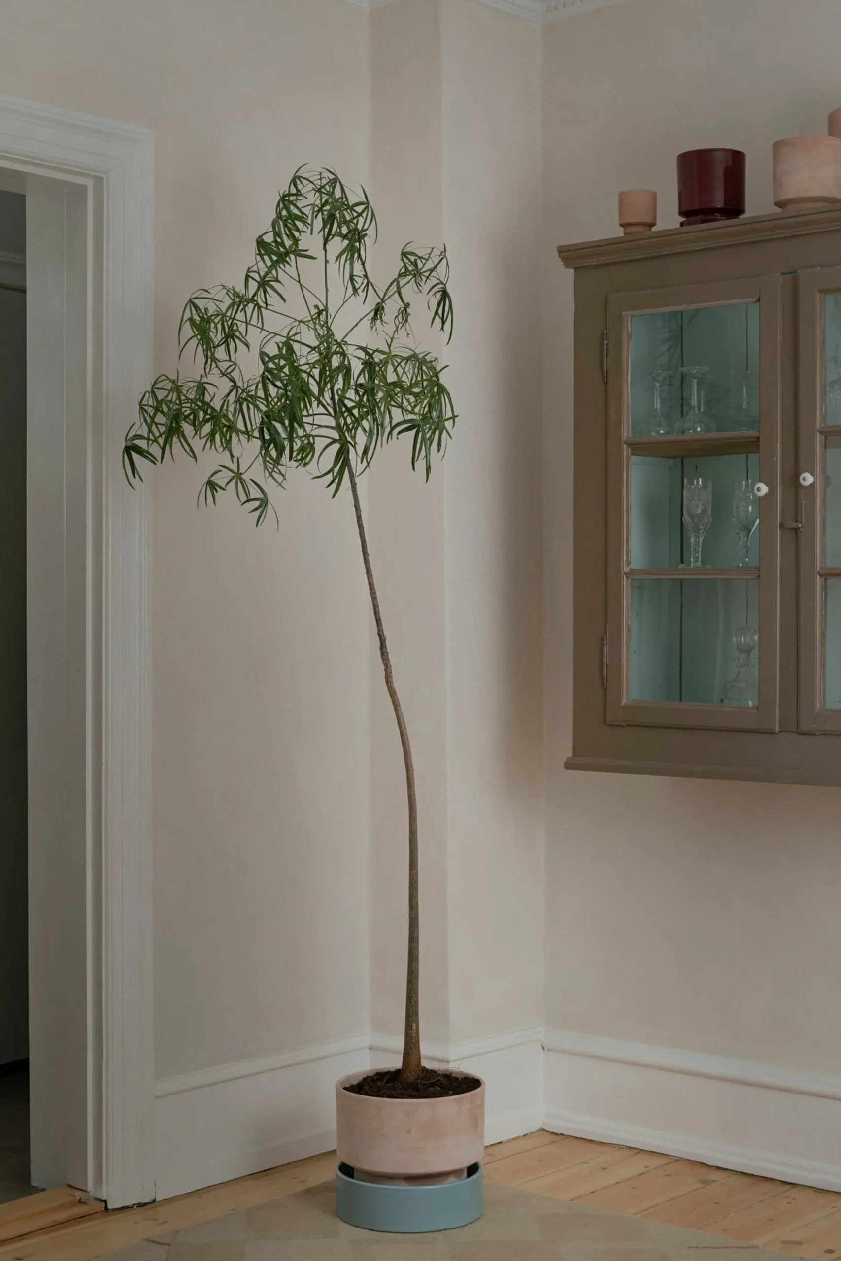 Hoff krukke, raw rosa