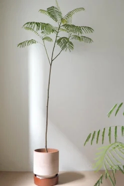 Hoff krukke, raw rosa + rust underskål