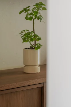 Hoff krukke, Sandstone