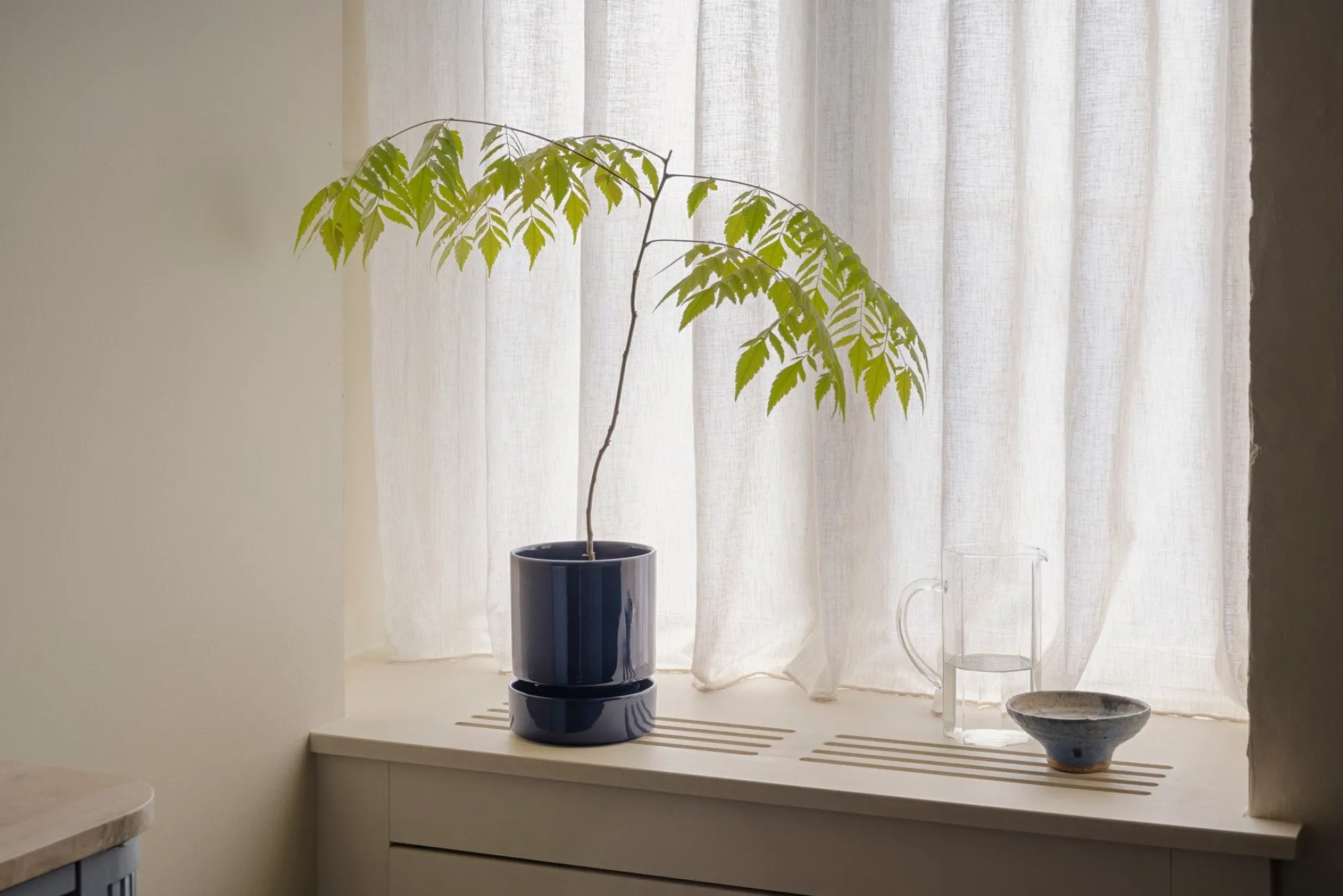 Hoff krukke, Sapphire Blue