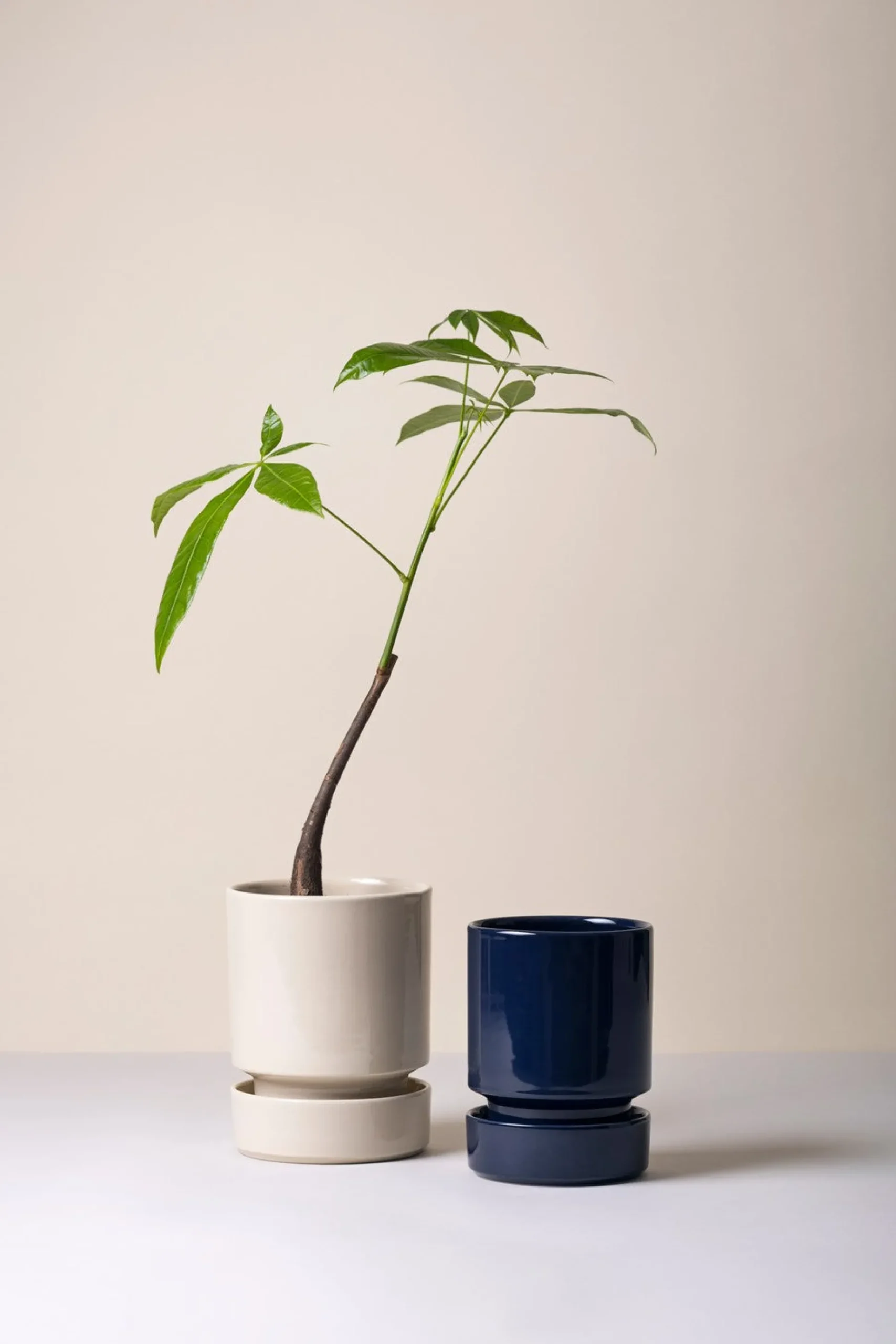 Hoff krukke, Sapphire Blue