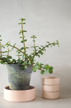 Hoff underskål, glaseret rosa