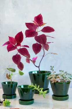 Julie - Emerald Green