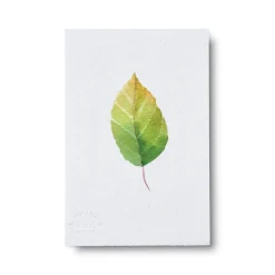 Kort - blad no. 3 - 100% genanvendt papir