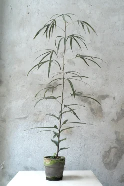 Kærlighedstræ (Trefod) medium