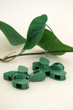 Leafy Clips