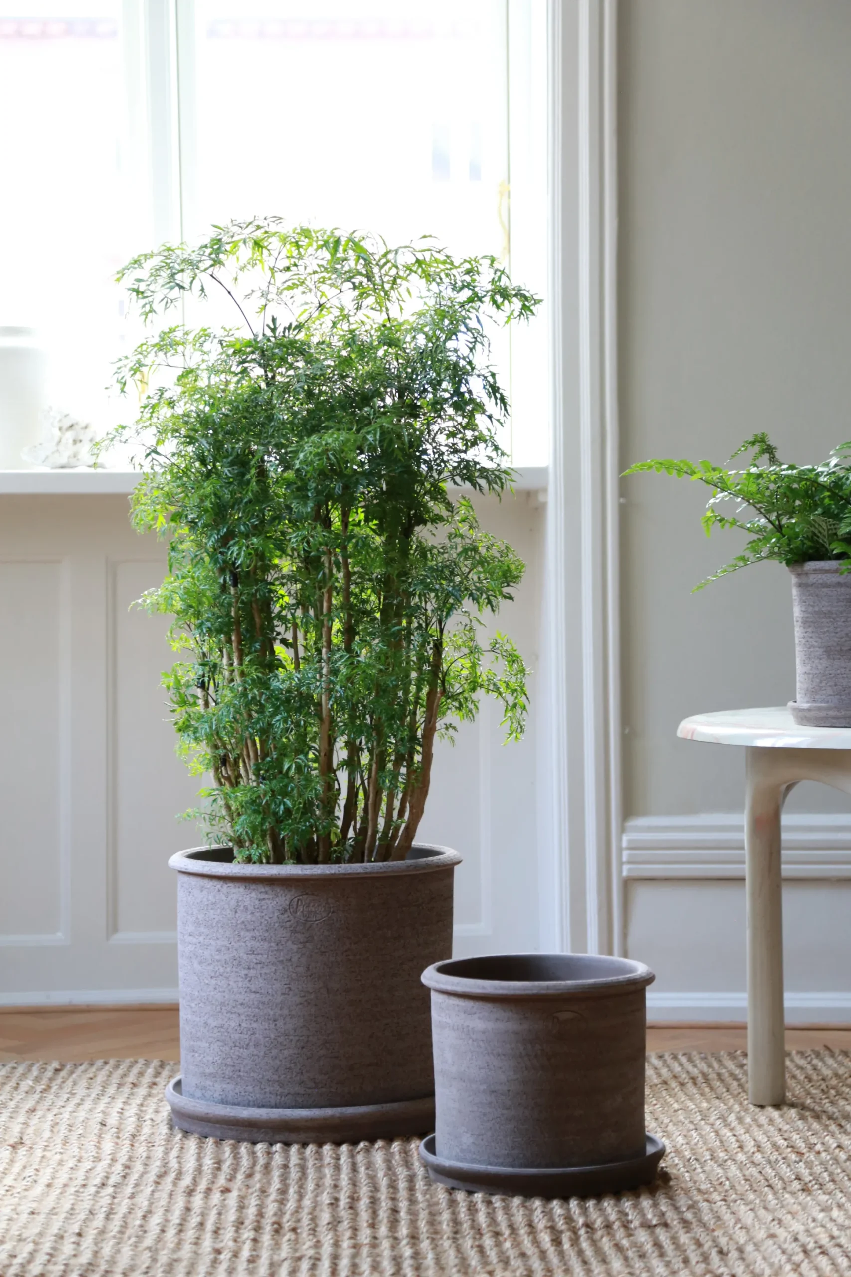 Modena gulvkrukke - raw grey