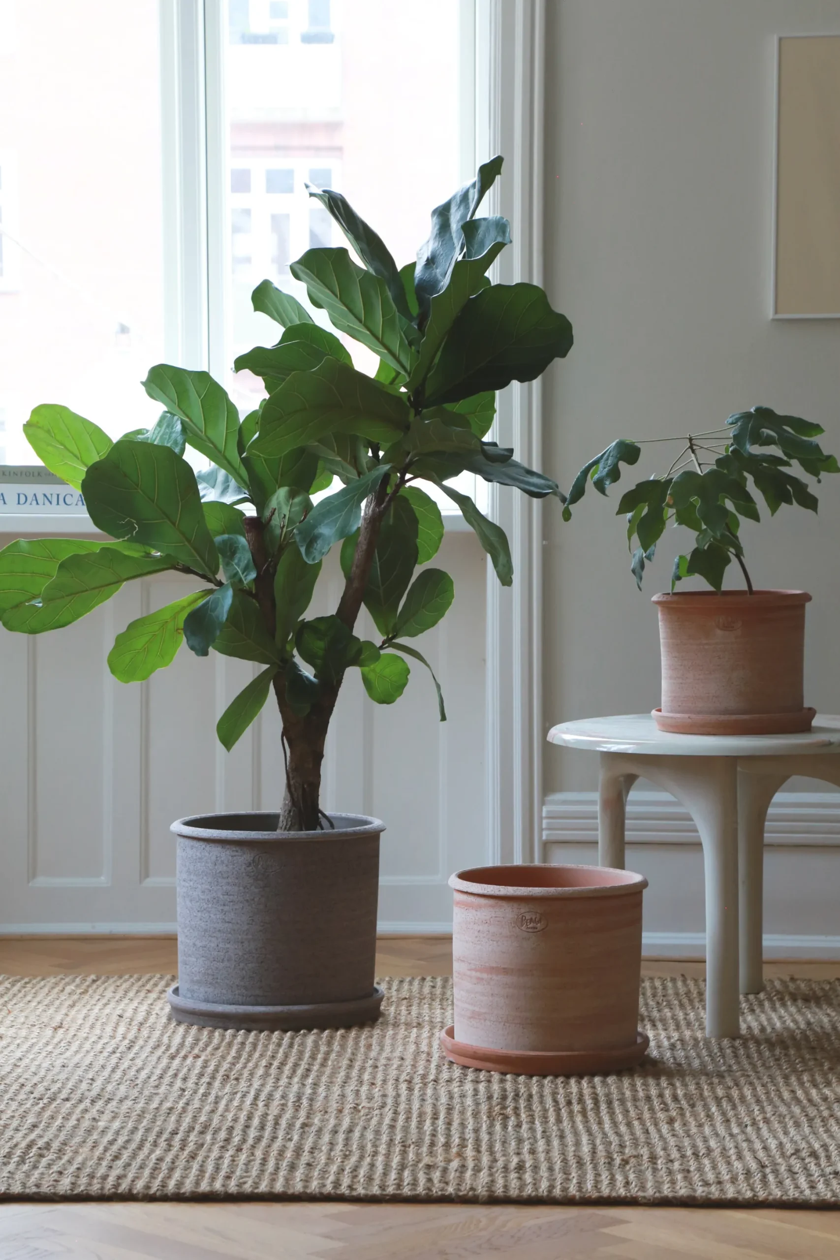 Modena gulvkrukke - raw rosa