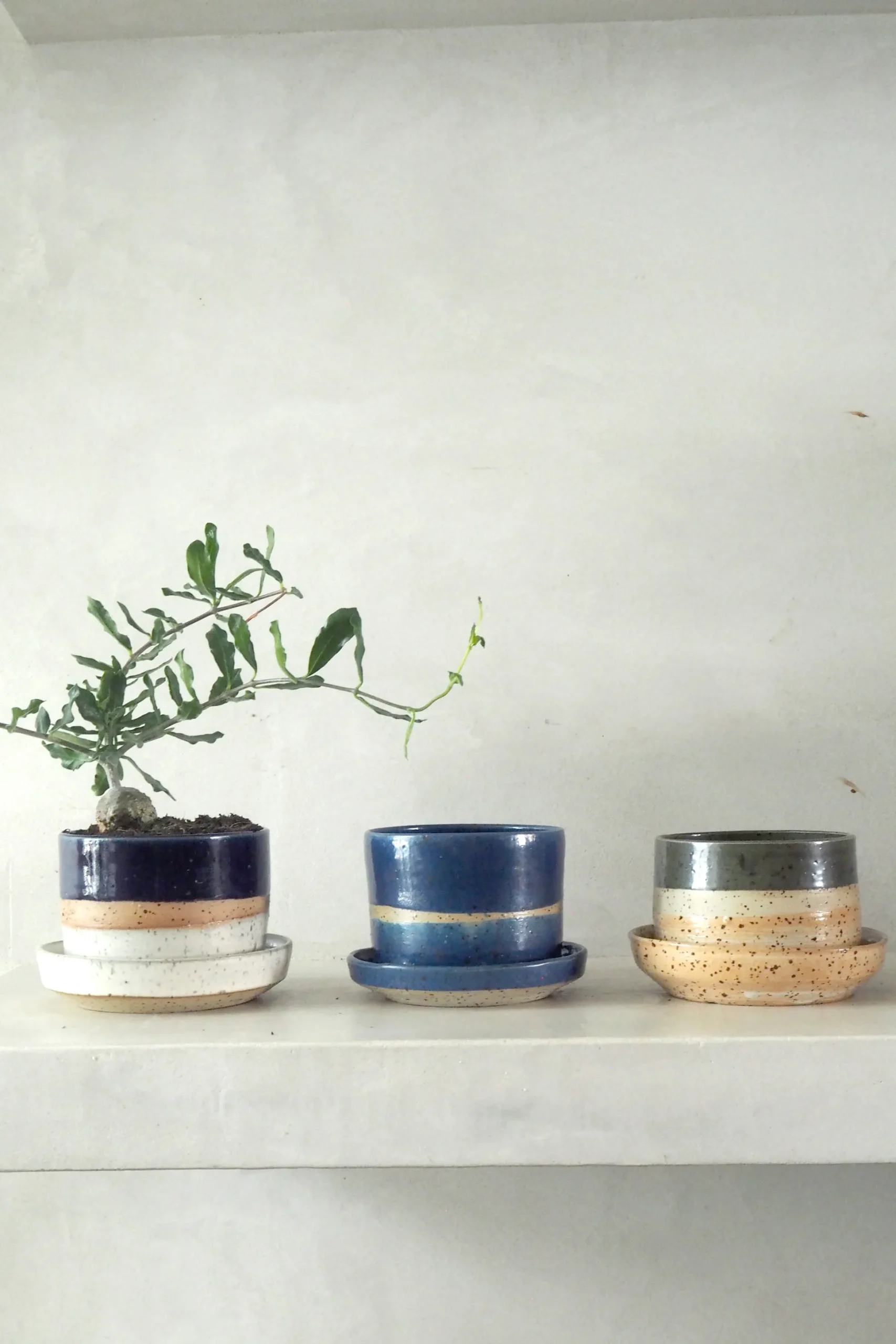 Nina Frigg medium no. 2