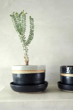 Nina Frigg stor no. 2