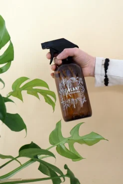 Plant forstøver / amber