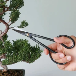 Pro Bonsai starter kit