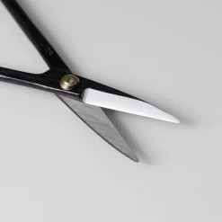 Pro Bonsai starter kit