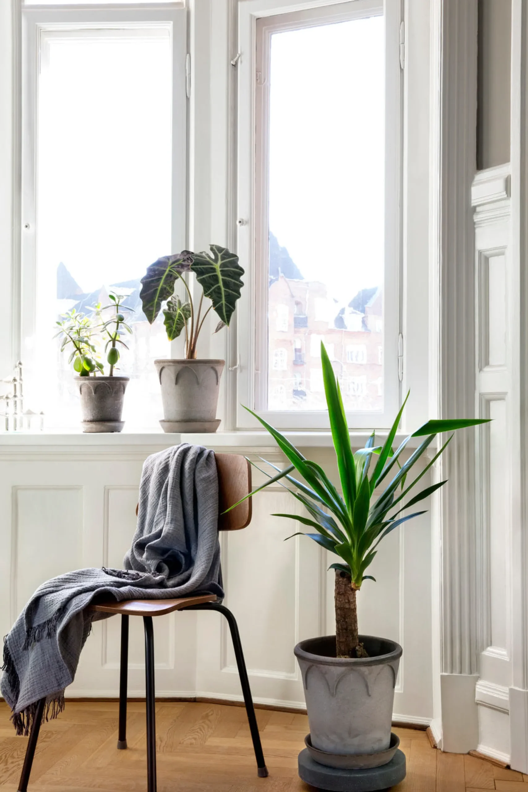 Rolling stones - rulleplade til gulvplanter