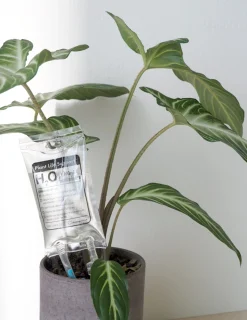 Selvvandende Plant Life support, lille