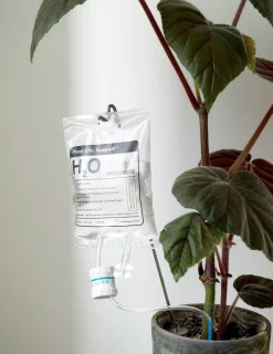 Selvvandende Plant Life support, stor