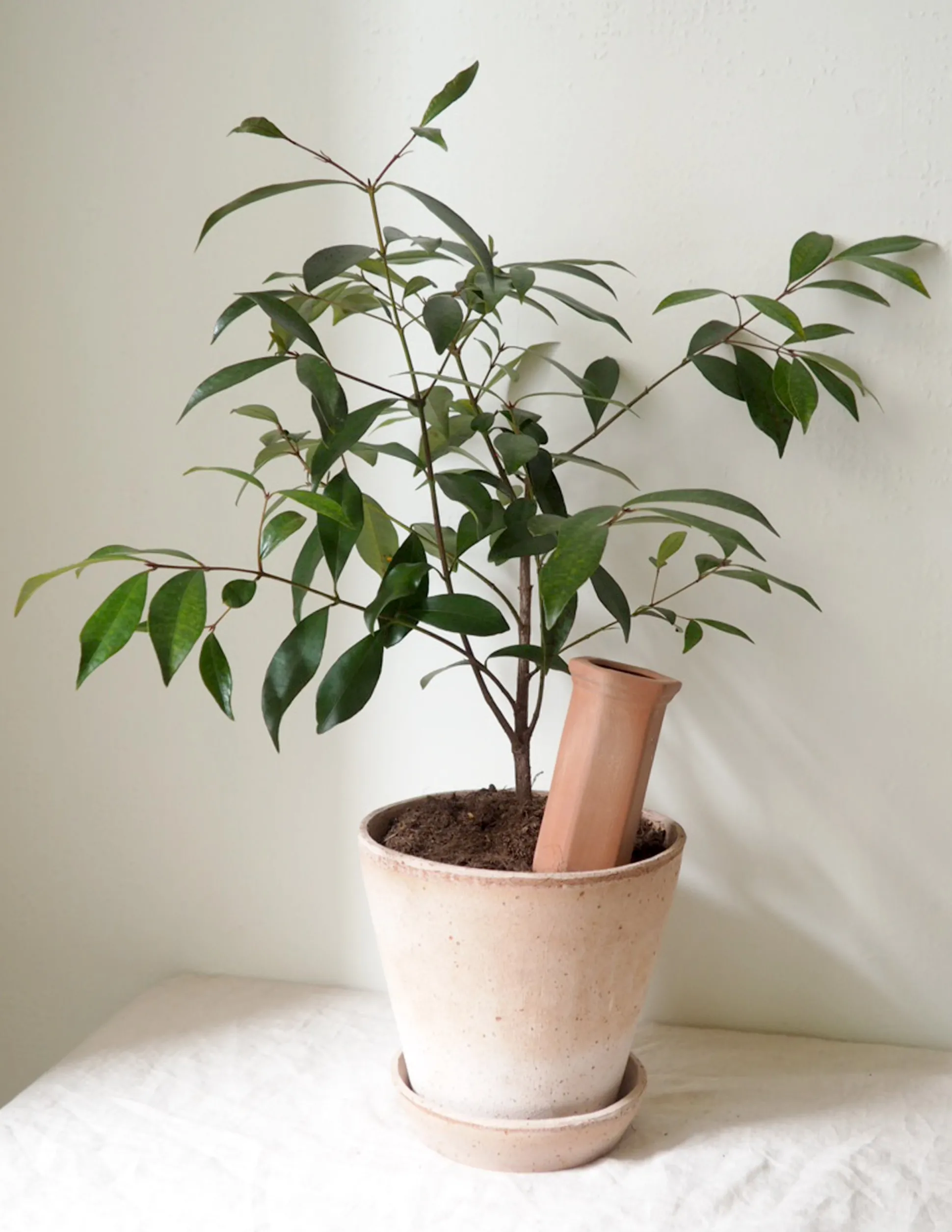 Selvvandingscylinder