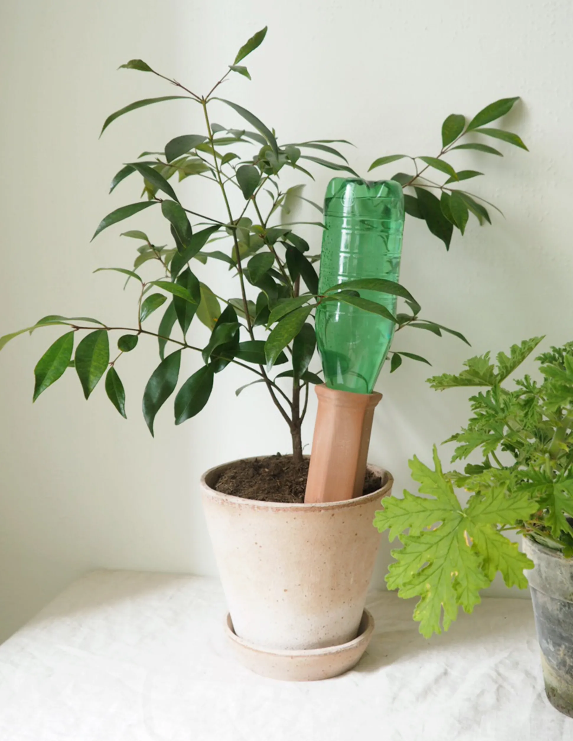 Selvvandingscylinder