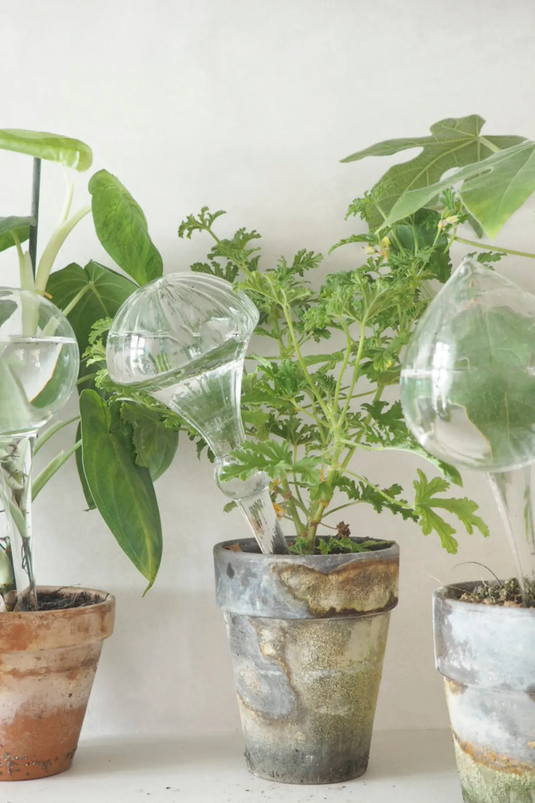 Selvvandingsglas, diamond