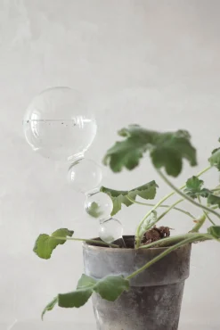 Selvvandingsglas, dot